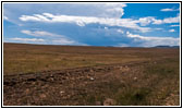 CR A16, NM CR A16, NM