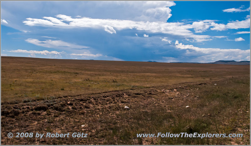 CR A16, NM CR A16, NM