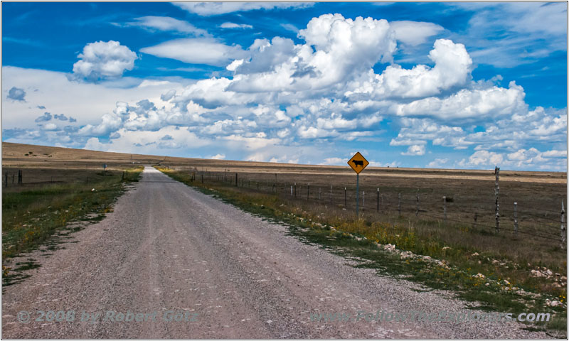 Highway 193, NM Highway 193, NM