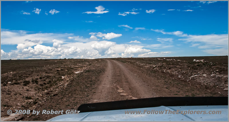 CR A37, NM CR A37, NM