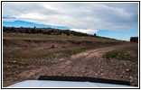 CR A115, NM CR A115, NM