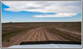 CR A115, NM CR A115, NM