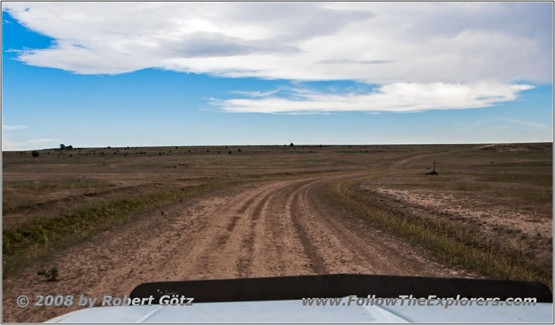 CR A115, NM CR A115, NM