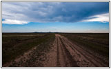 CR A115, NM CR A115, NM