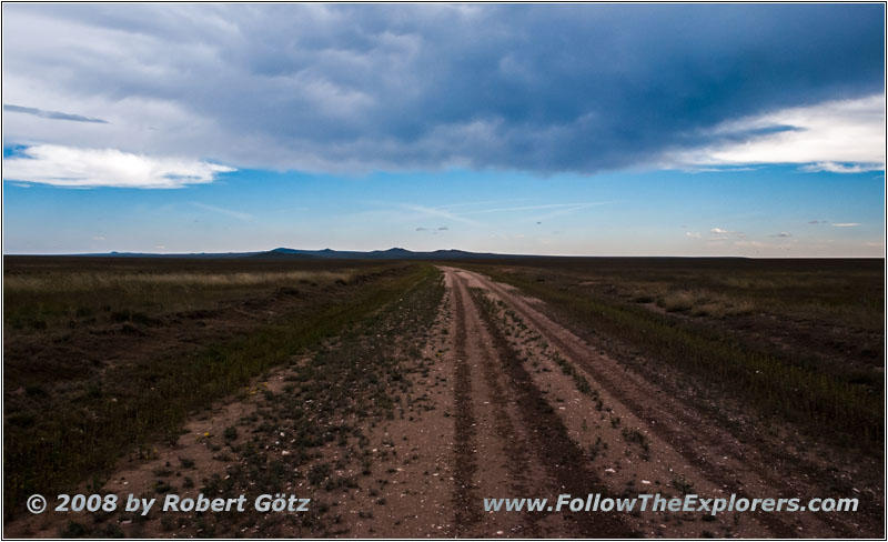 CR A115, NM CR A115, NM