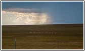 Thunderstorm, Pronghorn, Highway 120, NM Thunderstorm, Pronghorn, Highway 120, NM