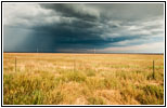 Thunderstorm, Highway 120, NM Thunderstorm, Highway 120, NM