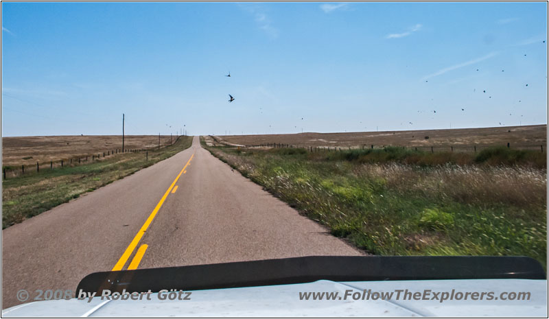 FM767, TX FM767, TX