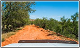 Backroad, TX Backroad, TX