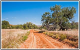 Backroad, TX Backroad, TX