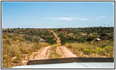 Backroad, TX Backroad, TX