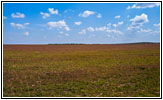 CR P/Marshall Dr, Texas CR P/Marshall Dr, Texas