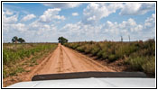CR P/Marshall Dr, Texas CR P/Marshall Dr, Texas