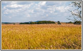 E 780 Rd, Oklahoma E 780 Rd, Oklahoma