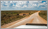 N 1740 Rd, Oklahoma N 1740 Rd, Oklahoma