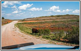 E 780 Rd, Oklahoma E 780 Rd, Oklahoma