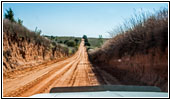 E 800 Rd, OK E 800 Rd, OK