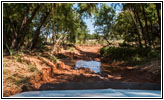 Backroad, Sorter Creek, OK Backroad, Sorter Creek, OK
