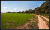 Backroad, OK Backroad, OK