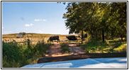 Backroad, OK Backroad, OK