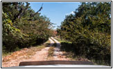 Backroad, OK Backroad, OK