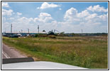 Beetle Spider, Highway 77, Lexington, OK Beetle Spider, Highway 77, Lexington, OK
