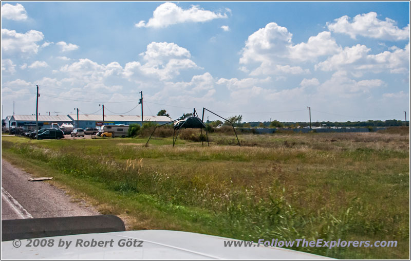 Beetle Spider, Highway 77, Lexington, OK Beetle Spider, Highway 77, Lexington, OK