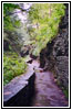 Watkins Glen State Park, NY Watkins Glen State Park, NY