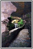 Central Cascade, Watkins Glen State Park, New York