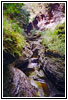 Watkins Glen State Park, NY