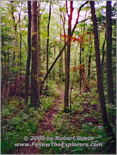 Long Trail, Clark Reservation State Park, NY Long Trail, Clark Reservation State Park, NY