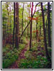 Long Trail, Clark Reservation State Park, NY