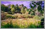 Bloody Creek, Oriskany Schlachtfeld, New York