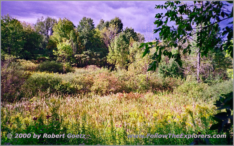 Bloody Creek, Oriskany Schlachtfeld, New York