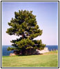 Rush Bagot Memorial, Old Fort Niagara, NY Rush Bagot Memorial, Old Fort Niagara, NY