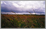 Backroad, NY Backroad, NY
