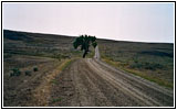 County Rd, South Dakota