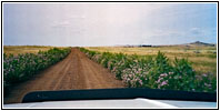 Hackamore Ranch Rd, South Dakota