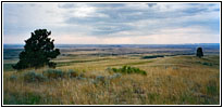 Tie Creek Rd, MT