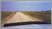 Sheep, Ridge Rd, MT Sheep, Ridge Rd, MT