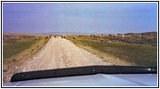 Sheep, Ridge Rd, MT