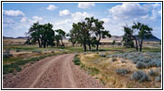 Ekalaka Rd, Montana