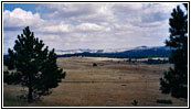 Ridge Rd N, MT Ridge Rd N, MT