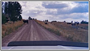 Ridge Rd N, MT Ridge Rd N, MT