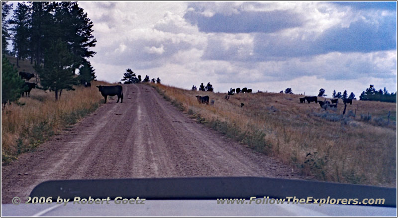 Ridge Rd N, MT Ridge Rd N, MT