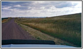 Deer, Rockypoint Rd, WY Deer, Rockypoint Rd, WY