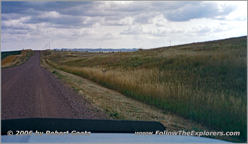 Deer, Rockypoint Rd, WY