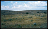 Gabelbock, Jenkins Rd, Wyoming