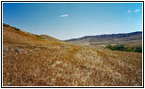 Wildlife Management Area, WY