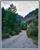 Crazy Woman Canyon Rd, WY Crazy Woman Canyon Rd, WY
